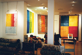 imm010