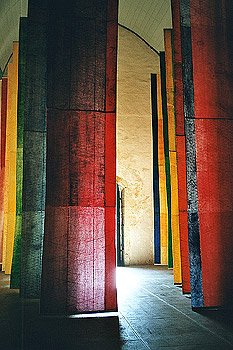 imm019